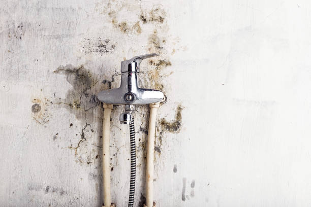 Best Post-Flood Mold Remediation in Laughlin, NV